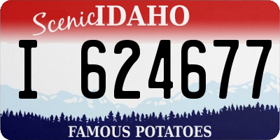 ID license plate I624677