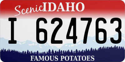 ID license plate I624763