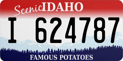 ID license plate I624787