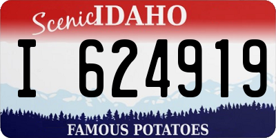 ID license plate I624919