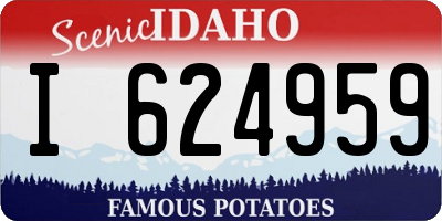 ID license plate I624959