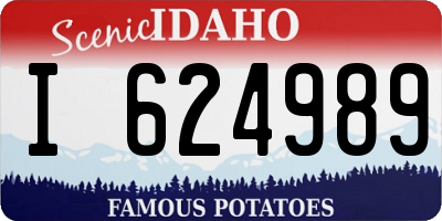 ID license plate I624989
