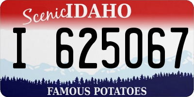 ID license plate I625067