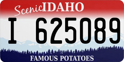 ID license plate I625089