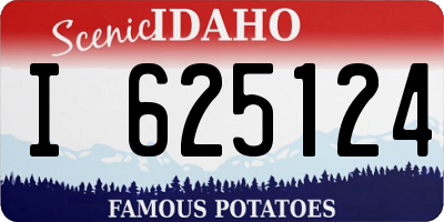 ID license plate I625124