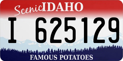 ID license plate I625129