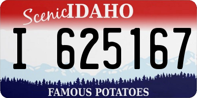 ID license plate I625167