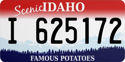 ID license plate I625172