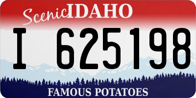 ID license plate I625198