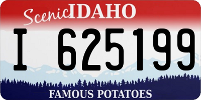 ID license plate I625199