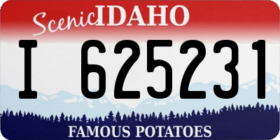 ID license plate I625231