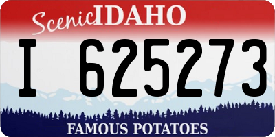 ID license plate I625273