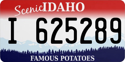 ID license plate I625289