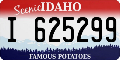 ID license plate I625299