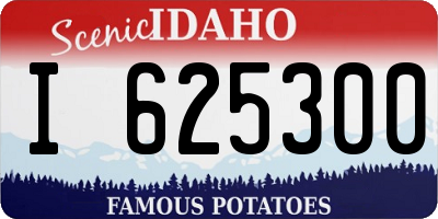 ID license plate I625300
