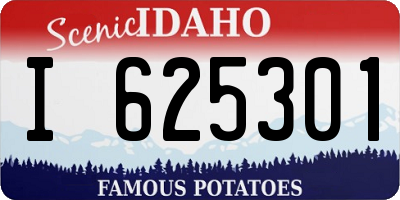 ID license plate I625301