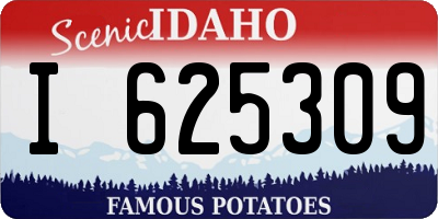 ID license plate I625309
