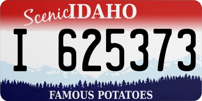 ID license plate I625373