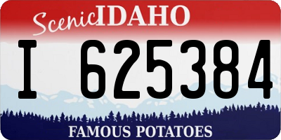 ID license plate I625384