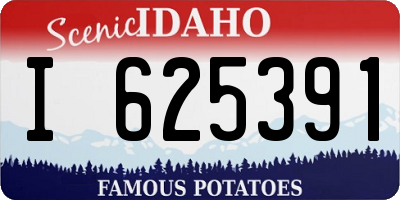 ID license plate I625391