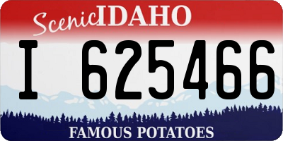 ID license plate I625466