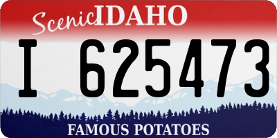 ID license plate I625473