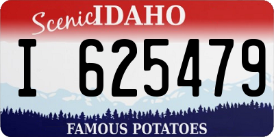 ID license plate I625479