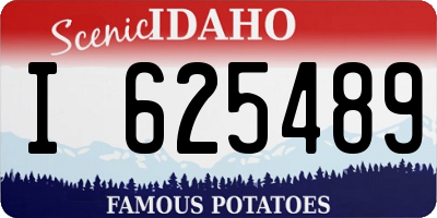 ID license plate I625489