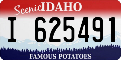 ID license plate I625491