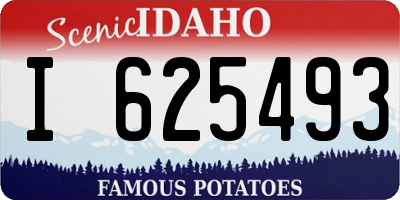 ID license plate I625493