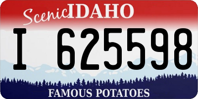 ID license plate I625598