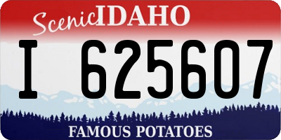ID license plate I625607
