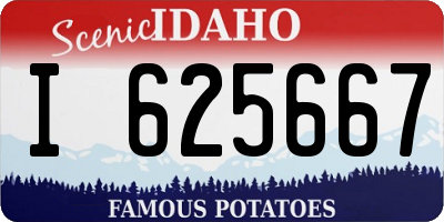 ID license plate I625667