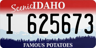 ID license plate I625673