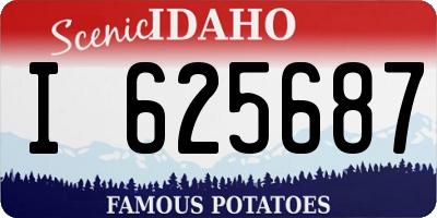 ID license plate I625687