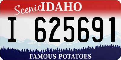 ID license plate I625691