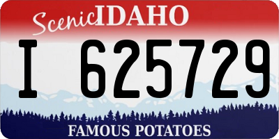 ID license plate I625729