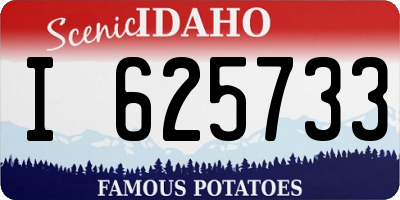 ID license plate I625733