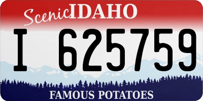 ID license plate I625759