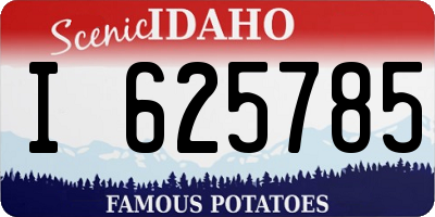 ID license plate I625785