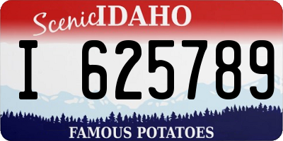 ID license plate I625789