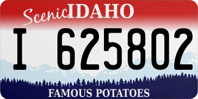 ID license plate I625802