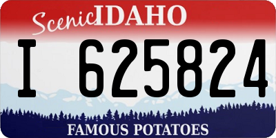 ID license plate I625824