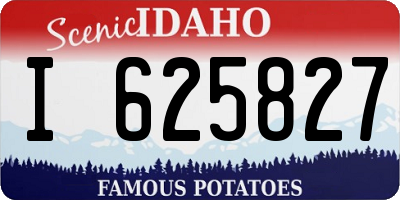 ID license plate I625827