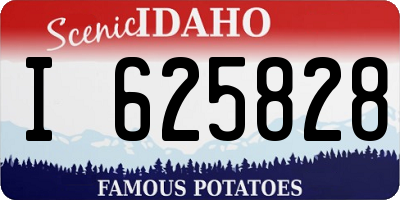 ID license plate I625828