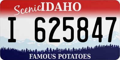 ID license plate I625847
