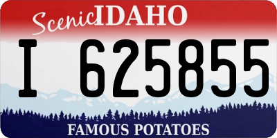 ID license plate I625855