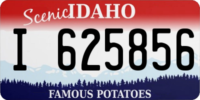 ID license plate I625856
