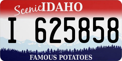 ID license plate I625858