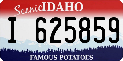 ID license plate I625859